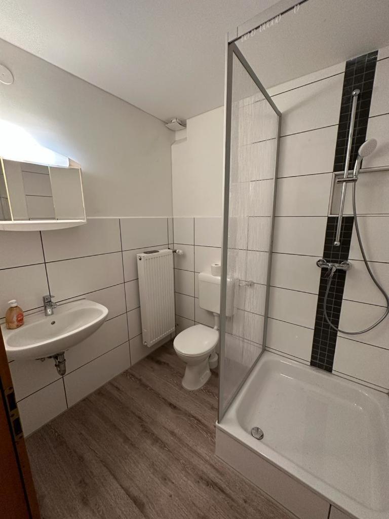 Gaestehaus Rachinger بابنهايم المظهر الخارجي الصورة